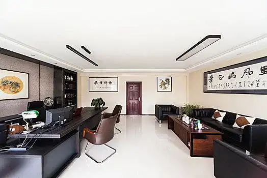 明亮宽敞企业公司机关老板领导办公室
