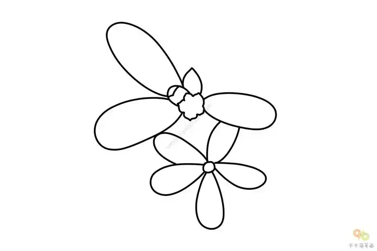 马齿苋简笔画画法