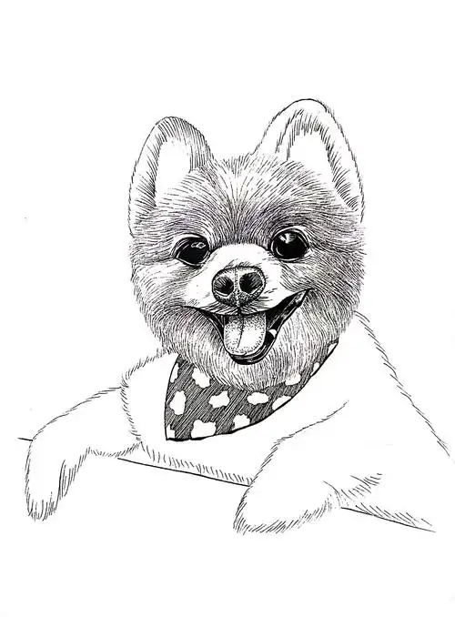 黑白动物绘小狗