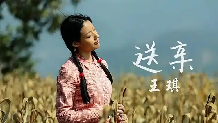 王琪原唱可可托海的牧羊人送亲站着等你三千年太感人