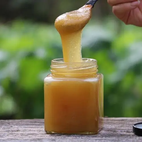 4斤纯正天然野生土蜂蜜农家自产成熟湖北神农架百花好品宗真孕妇