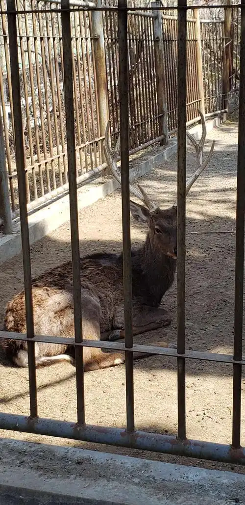 烟台南山动物园