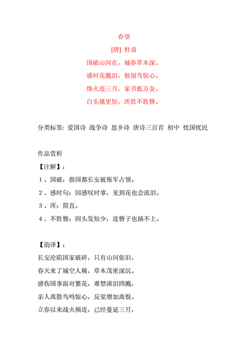 杜甫春望原文及赏析docx5页