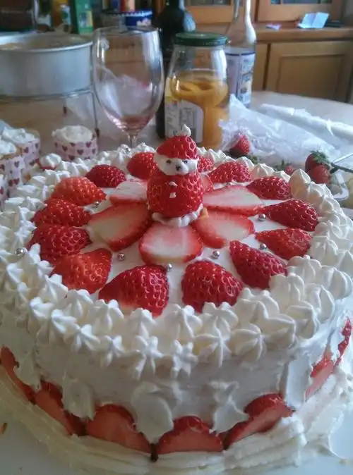 我形我塑做的草莓生日蛋糕
