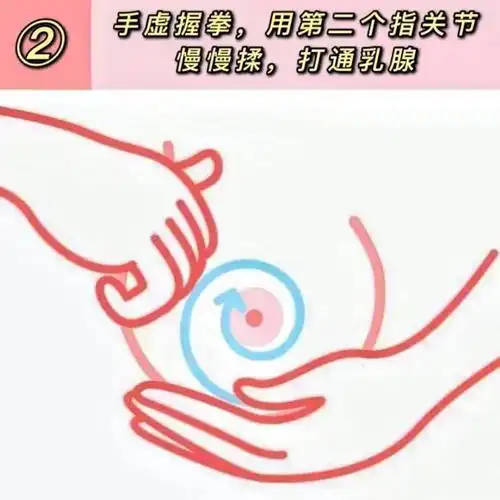 ③用双手拇指交叉顺着乳腺的方向从边缘向乳头方向反复推,将奶水赶到