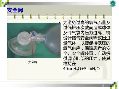 无忧文档 所有分类 工程科技 电子/电路 简易呼吸器的应用ppt 安全阀
