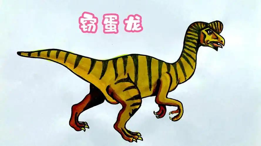 恐龙#恐龙简笔画,窃蛋龙