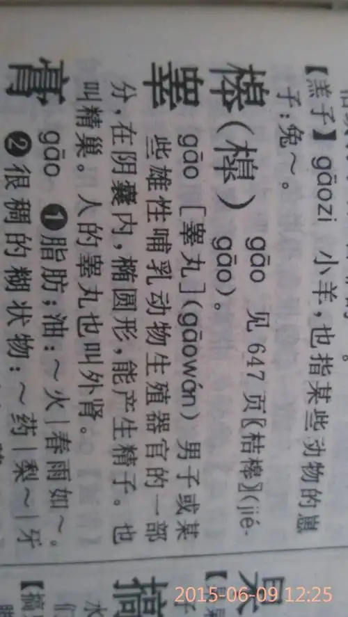 (睾)这个字拼音怎么拼