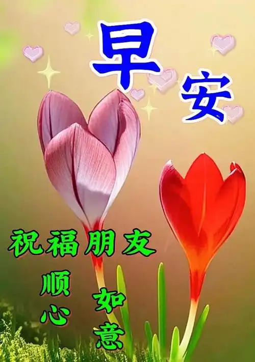6月12日周一早上好最新早上好漂亮图片祝福