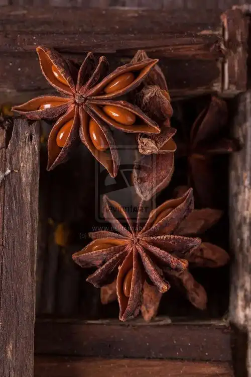 anise by natashabreen