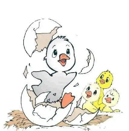 丑小鸭是怎样变成白天鹅的