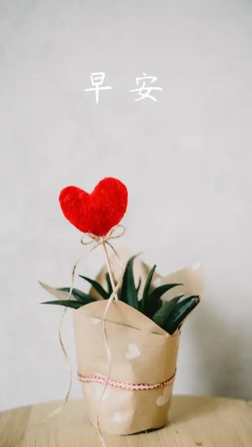 简约时尚早安问候手机壁纸