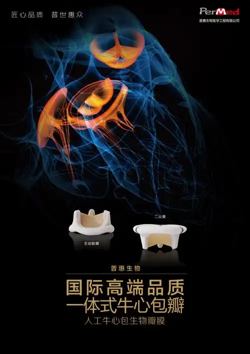 人工生物心脏瓣膜