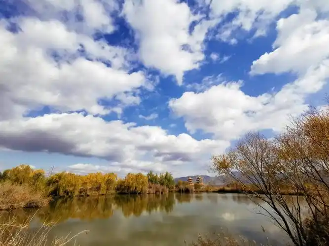 醉美吴忠在秋季