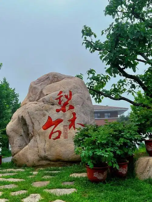 的梨木台一个字绝忙里偷闲  有趣的生活需要充电#梨木台自然风景区