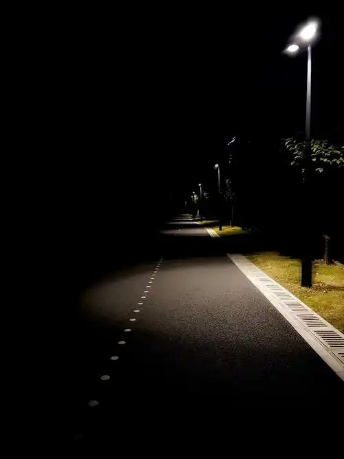 引路灯,黑暗里的光芒.