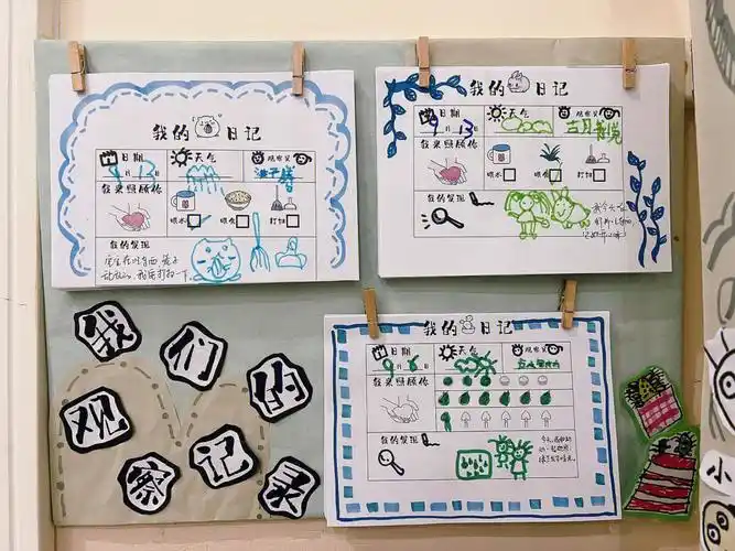 幼儿园自然角动植物观察记录表墙面创设