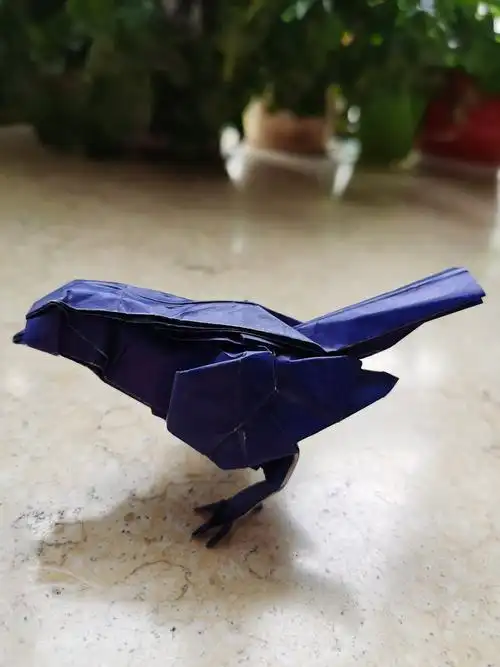 活动油田十中二年级六班二组四组2019折纸作品折纸 月赛中级组月赛