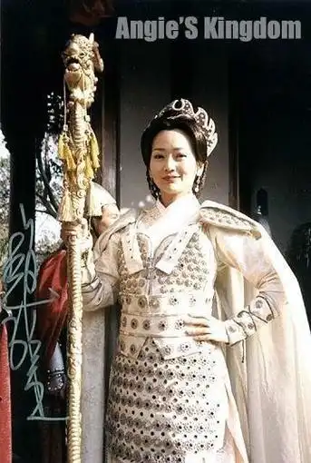 杨门女将佘赛花2