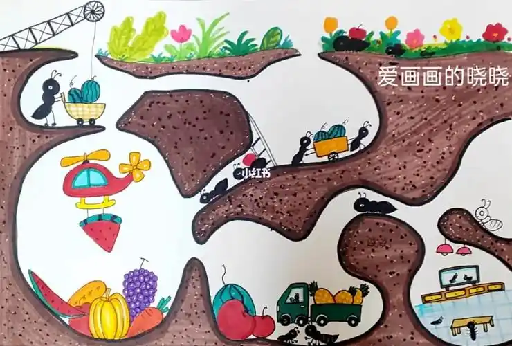 蚂蚁的地下王国