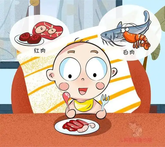 宝宝啥时候可以吃肉没想到给宝宝吃肉的最佳时期是这个