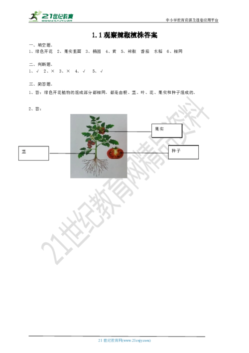 1《观察辣椒植株》练习