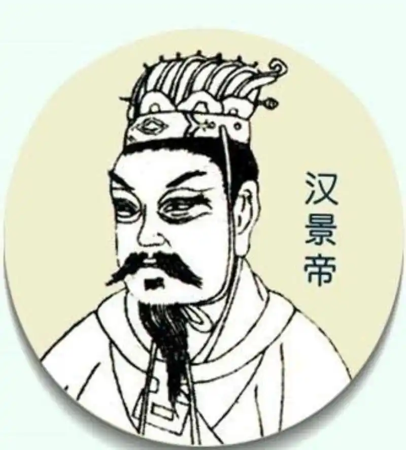 (文景之治)中的汉景帝刘启有些什么经历?