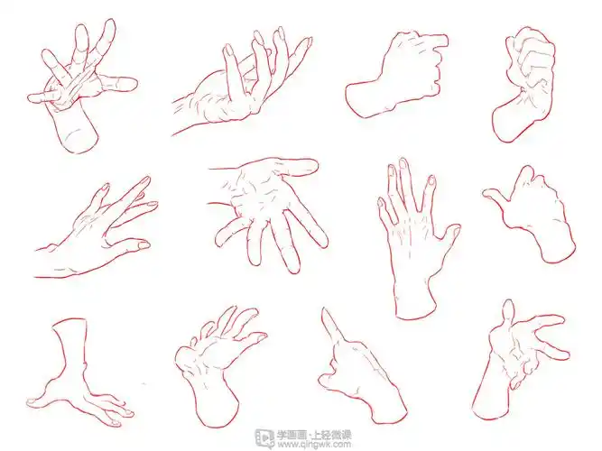 日系厚涂之手部肌肉及手指透视把控