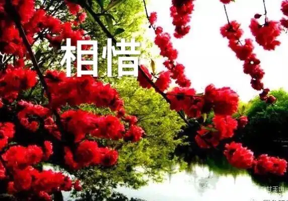 相遇,相知,相契,相依,相助,相思,相辉,相惜!