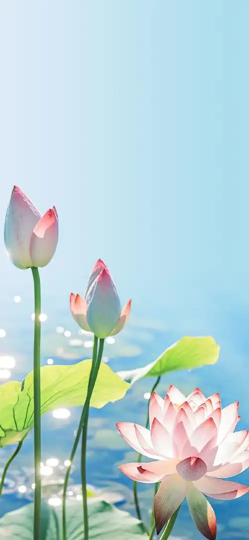 690_1493竖版 竖屏