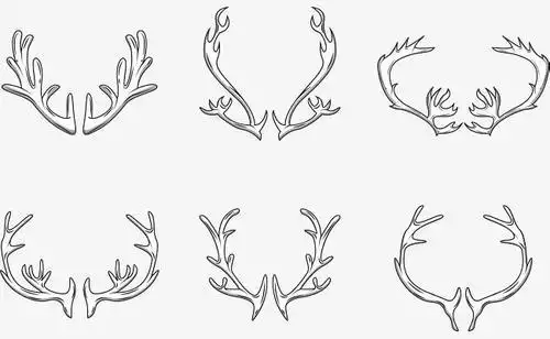 美丽的鹿角简笔画