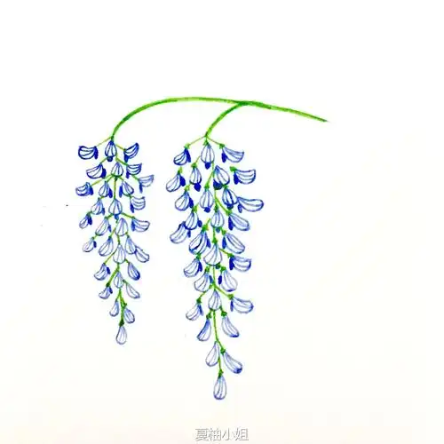 如何画藤蔓植物简笔画