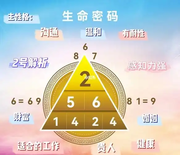 生命密码主性格解析266号人