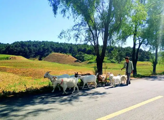 美丽铁岭_乡村水城_当铺屯