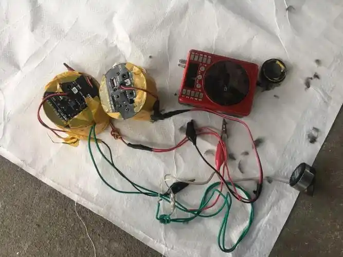 为庆乔迁摆喜宴,这名男子竟在金乡捕杀260多只麻雀