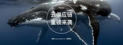 淘宝店首页轮播图