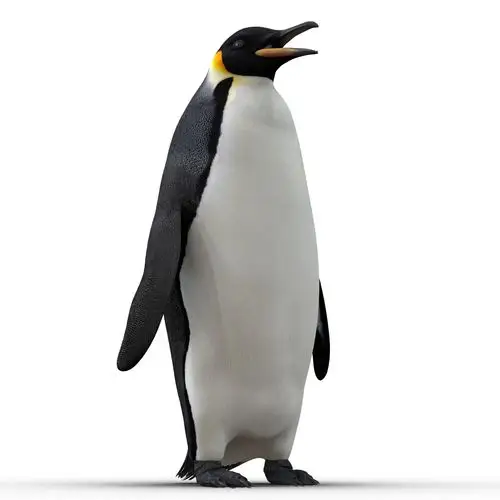 3d emperor penguin rigged