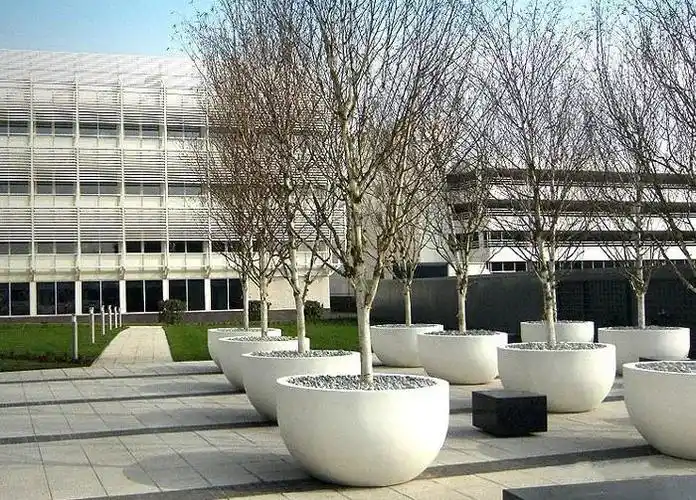 白水泥应用之白色清水混凝土