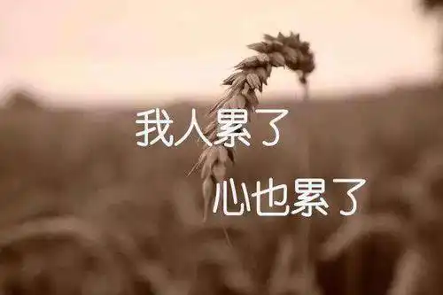 人累了和心累了的图片