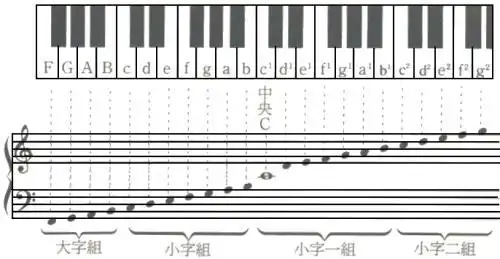 能教我低音谱表吗