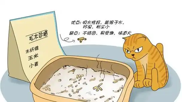 测评:各种猫砂的优缺点,可以了解一下