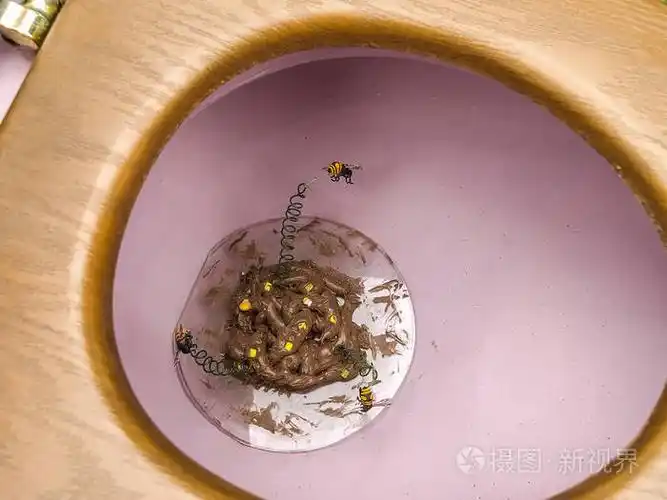 厕所里的屎和苍蝇.平摊