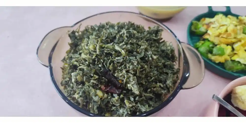 炒的蒸扫帚苗小米山药红枣粥青椒炒蛋