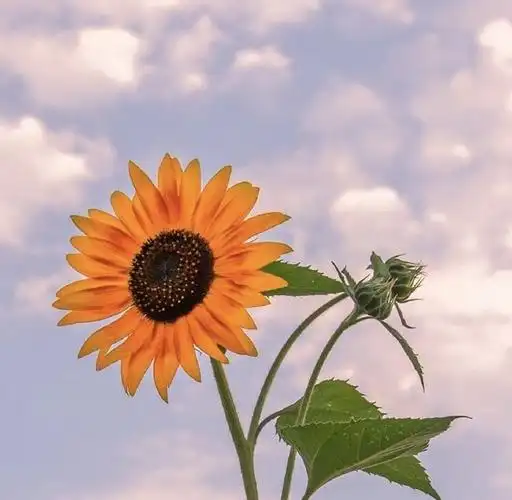 聊一聊,创业者的心态