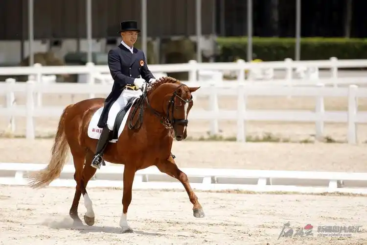 中国马术队盛装舞步项目的新疆骑手兰超与他的爱马leone.