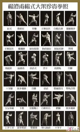 【太极拳经谱】几种杨式太极拳拳谱之比较 - 太极网