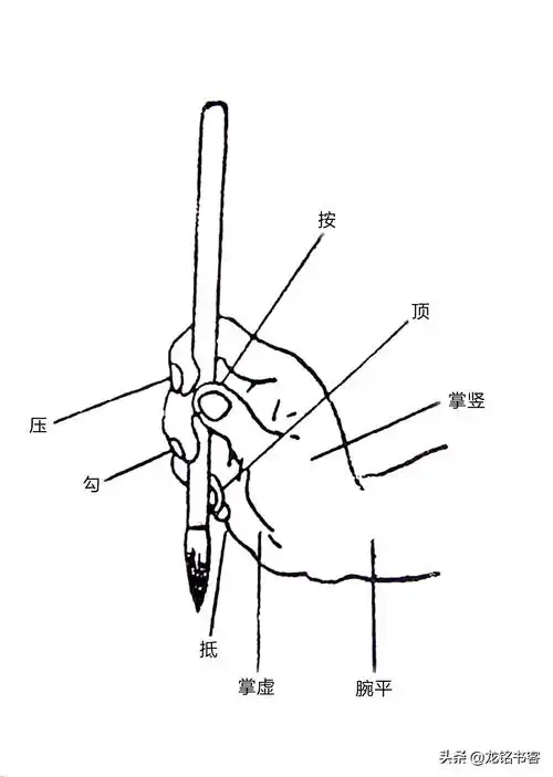 毛笔握法(书法中"执笔无定法"真的是指拿笔方式无所谓吗?