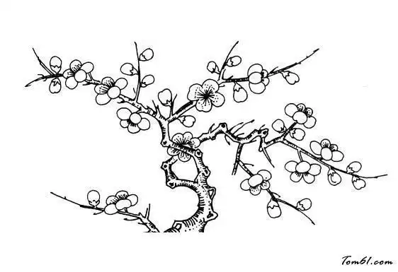 梅花的简笔画画法梅花落下的时候简笔画古风梅简笔画集