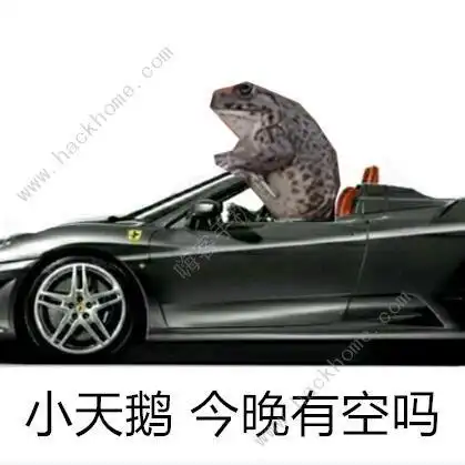 生活百科知识科普:小天鹅给个机会表情包在哪里下载 抖音癞蛤蟆小天鹅