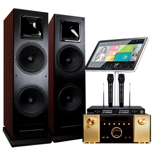 班龙旗舰级别墅高端k歌家庭ktv音响套装家用客厅落地音箱双10大功率